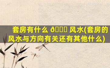 套房有什么 🐎 风水(套房的风水与方向有关还有其他什么)